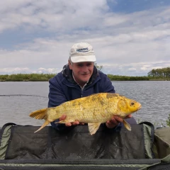 A koi pontyok otthona - Kerekesi Mihály